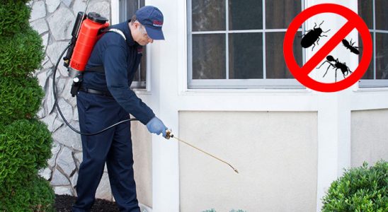 Daday Fare İlaçlama böcek ilaçlama ve haşere kontrolü — ilaclama-tr.com